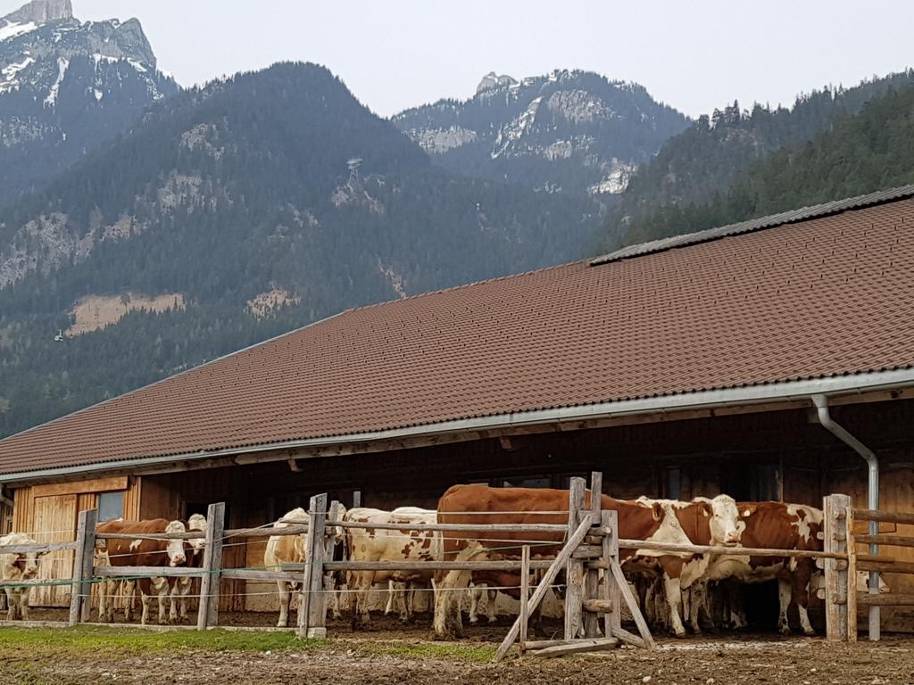 Haidacherhof Eben am Achensee Exterior photo